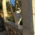 Naturelove