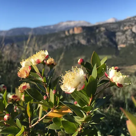 Naturelove