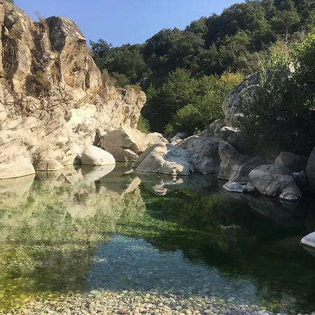 Naturelove